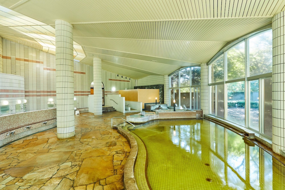 Kamenoi Hotel Kitsuregawa (ex Kanpo No Yado Tochigi Kituregawa Onnsen) 36/64