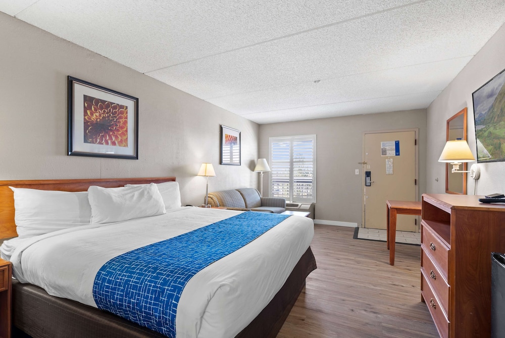 Upgrade, Deluxe, King Bed