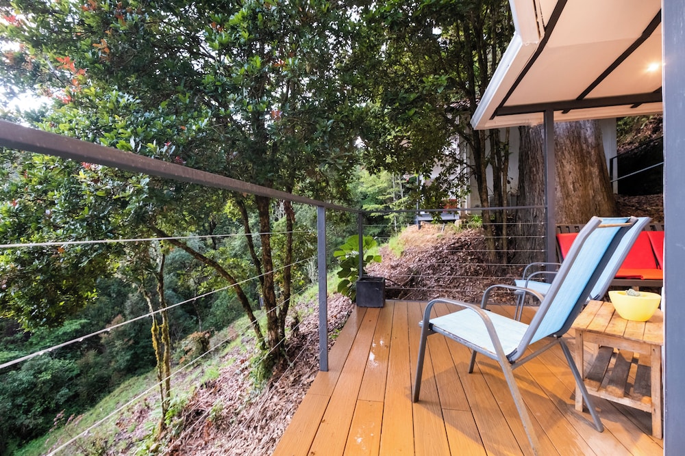Dantica Cloud Forest Lodge 26/50