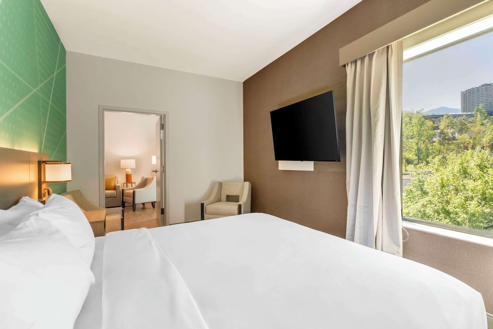 Comfort Suites Gatlinburg Downtown-Convention Center 20/60