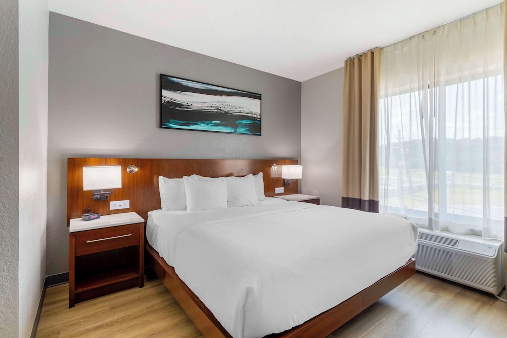 Suite, King Bed, Street View, Sofa