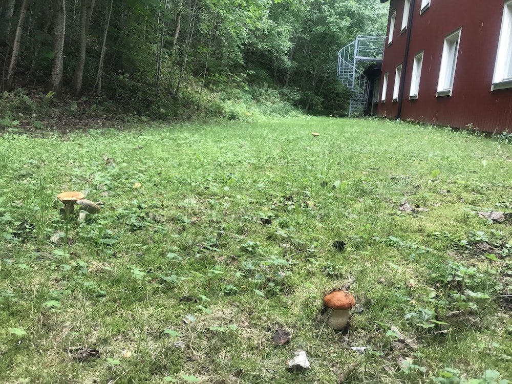 Klackbergsgården 39/50