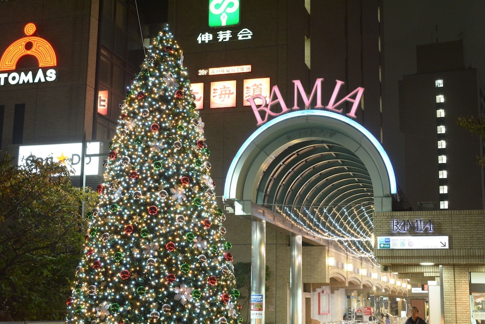 Tokyo Central Youth Hostel 40/50