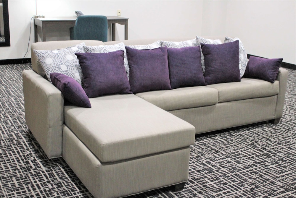La Quinta Inn and Suites by Wyndham Indianapolis Downtown 34/50