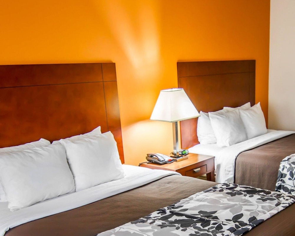 Sleep Inn Suites I 20 13/43