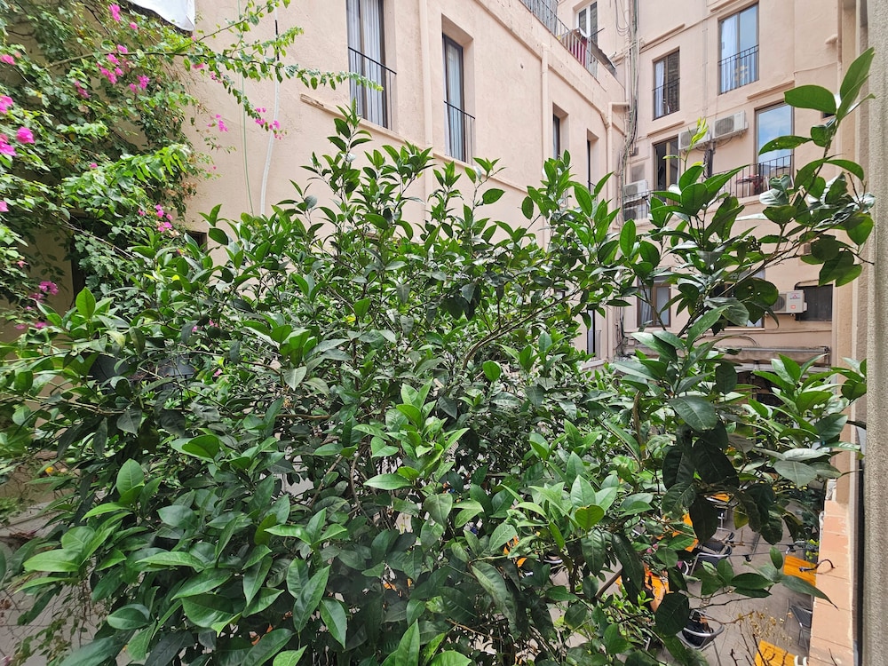 Hotel Palermo 39/44
