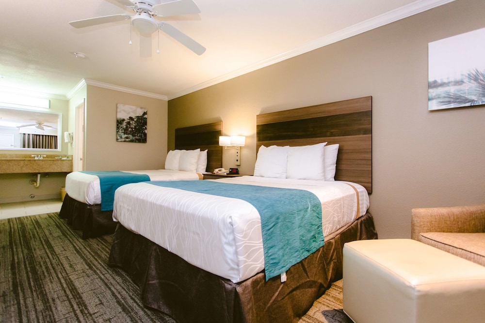 Best Western Pearland Inn 11/31