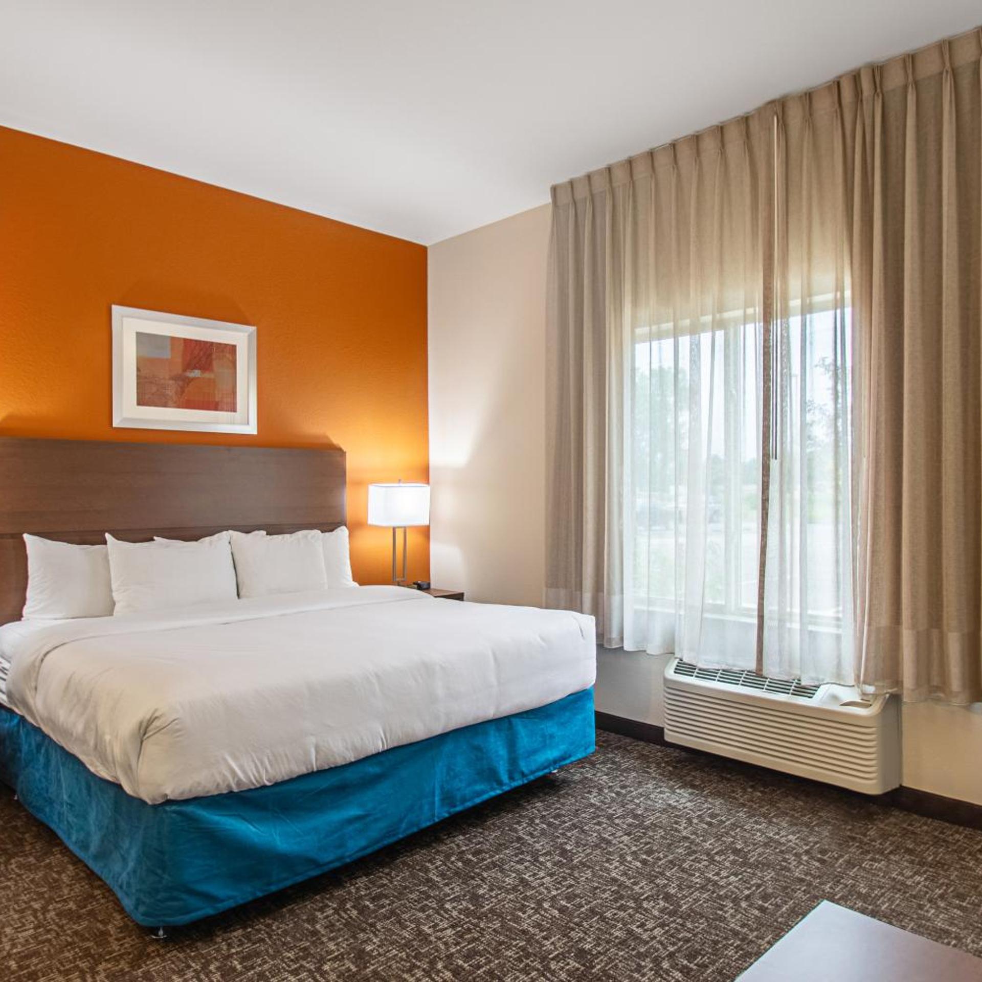 SUITE, KING BED, ACCESSIBLE