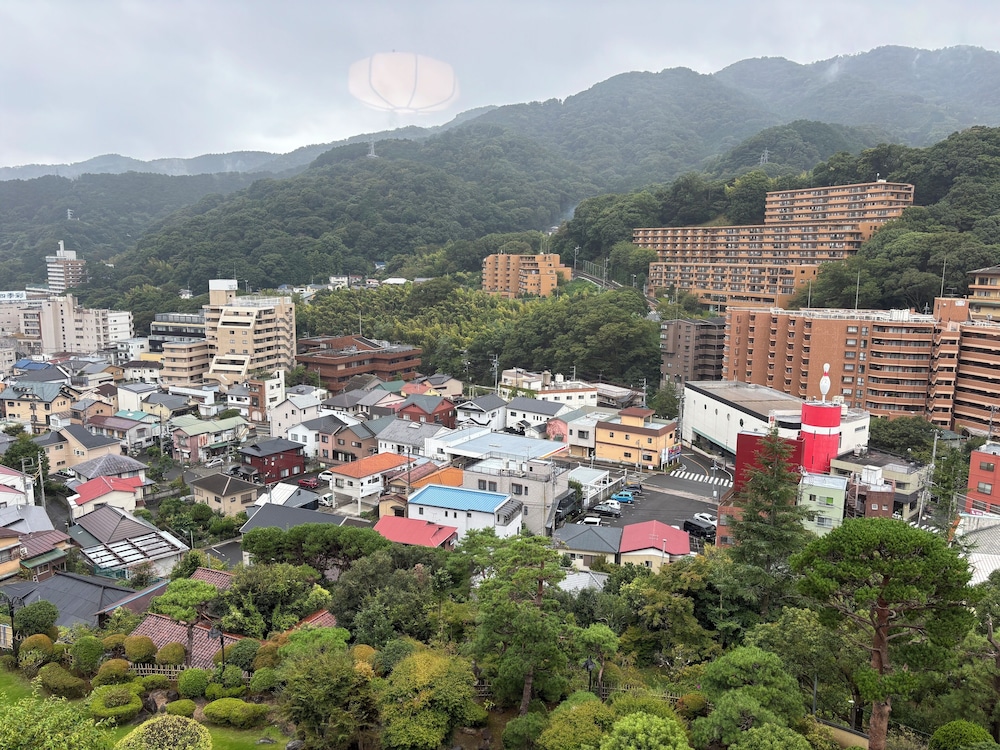 Wakamatsu Yugawara Sekitei (ex Wakamatsu Yugawara Hot Spring Resort) 46/50