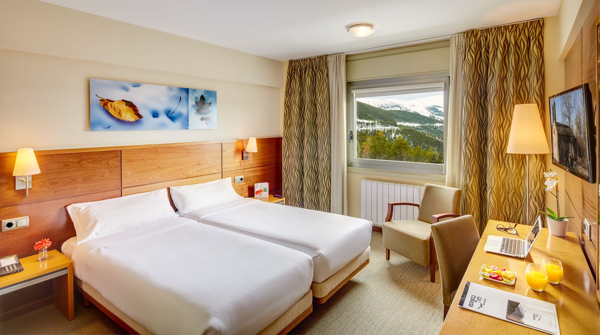 Room, Single, Single Bed, Valley View
