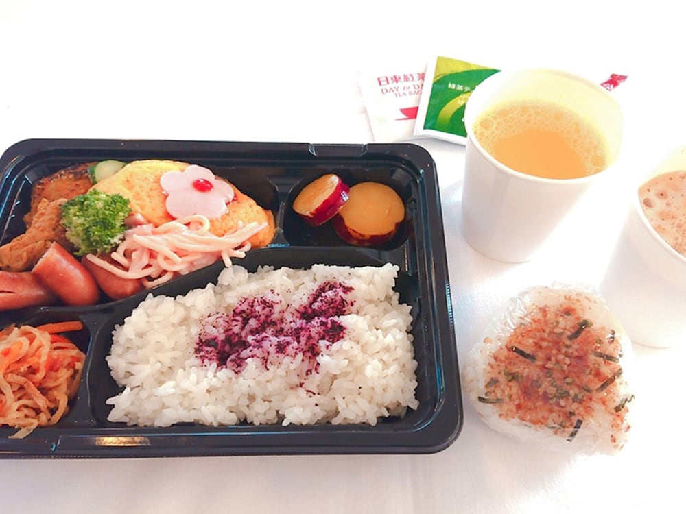 Toyoko Inn Fuji Kawaguchiko Ohashi photo2