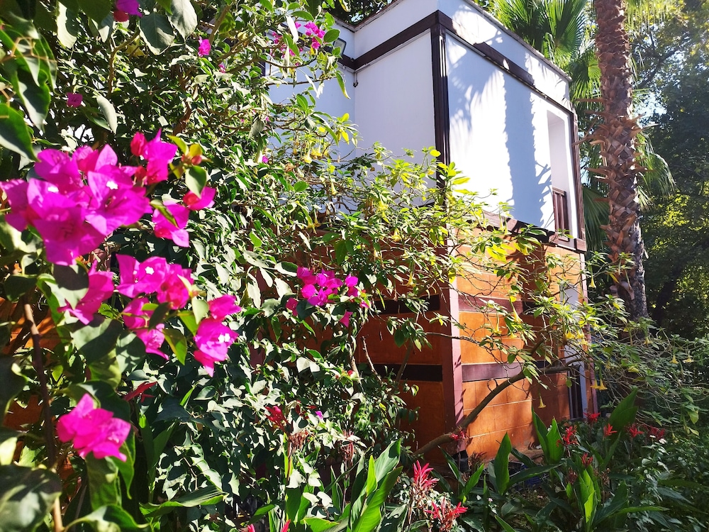 SUPERIOR, KING BED, GARDEN VIEW, SOFA, BALCONY