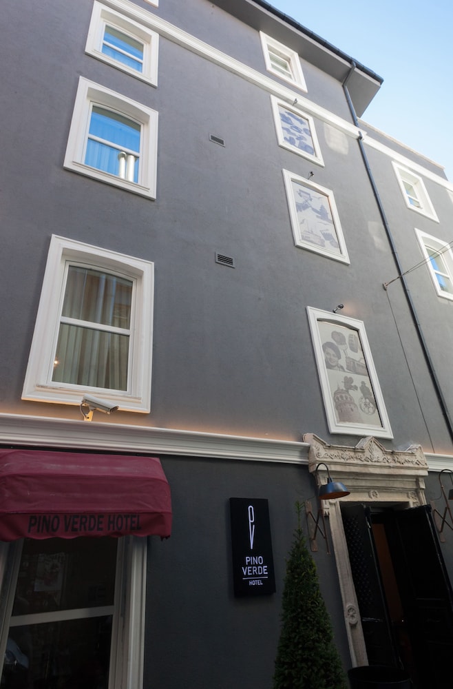 Hotel Pino Verde 1/50