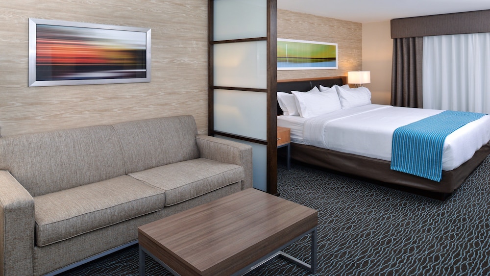 Holiday Inn Hotel And Suites Edmonton Airport Conference Centre 22/70