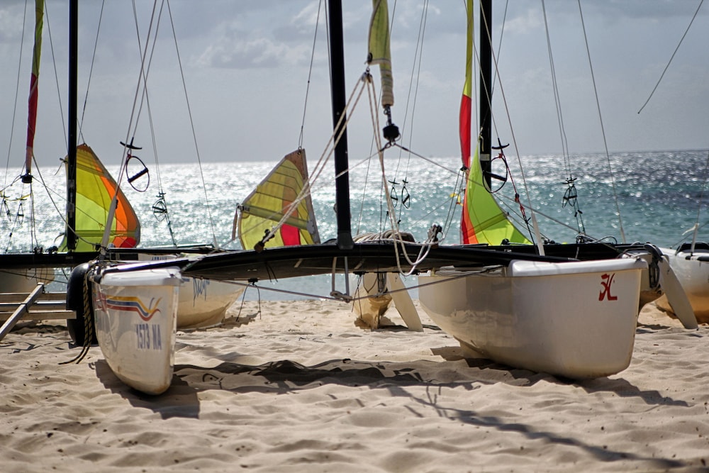 Calimera Delfino Beach Resort and Spa 15/60