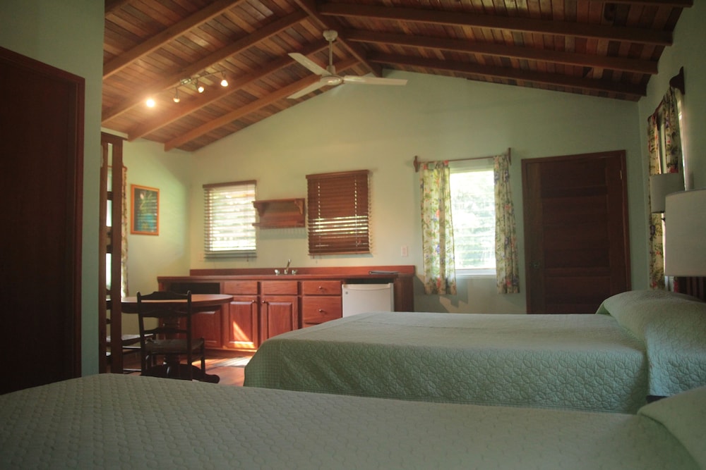 Tanager RainForest Lodge 18/64