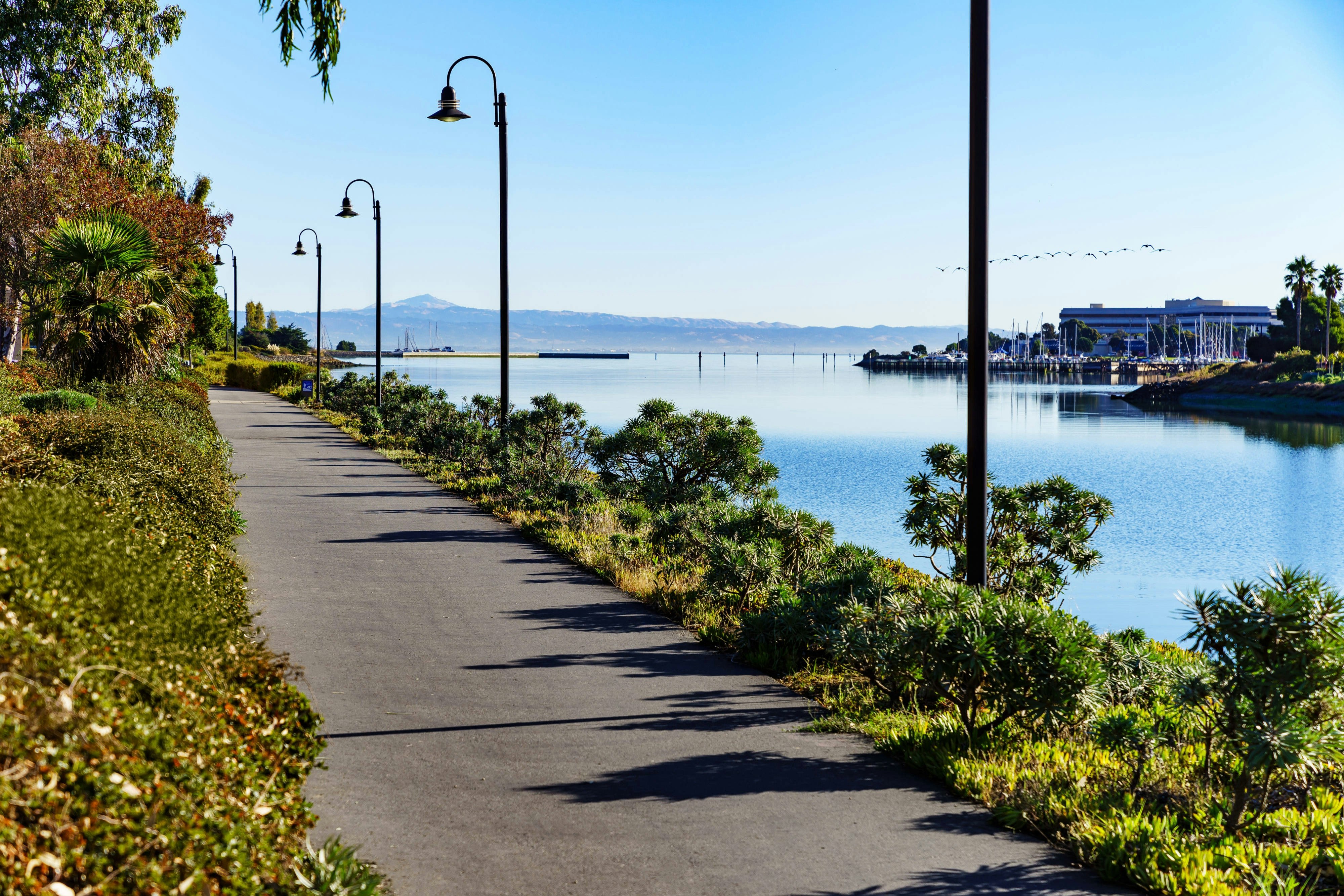Ac Hotel San Francisco Airport Oyster Point Waterfront 42/42