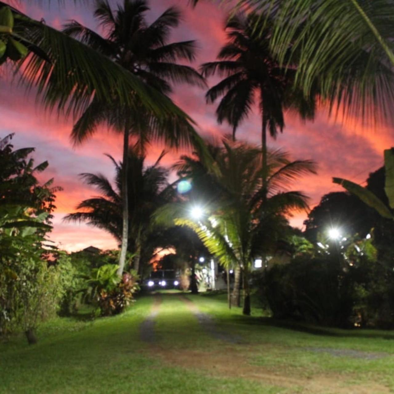 Alma Tropical Resort 42/50