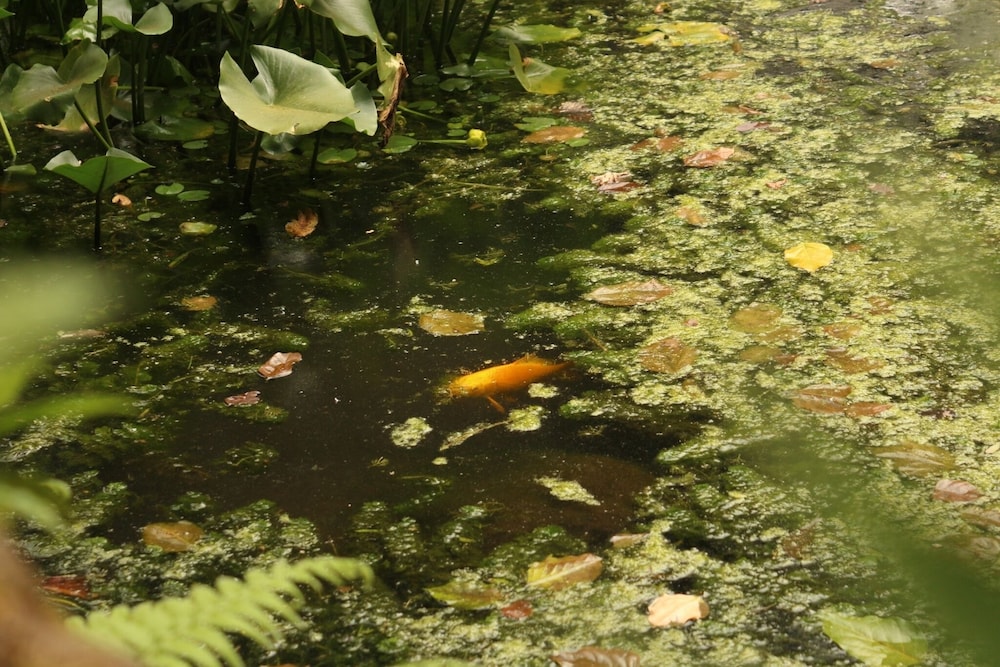 Yangmingshan Jing Shan Recreation Area 56/61