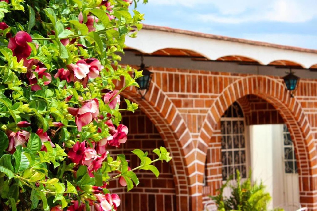 Mama Chuy Hotel & Villas 3/50