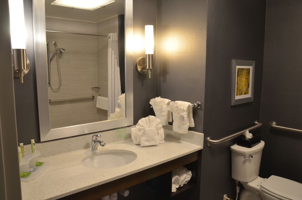 Holiday Inn Express Hotel And Suites Albany 19/67