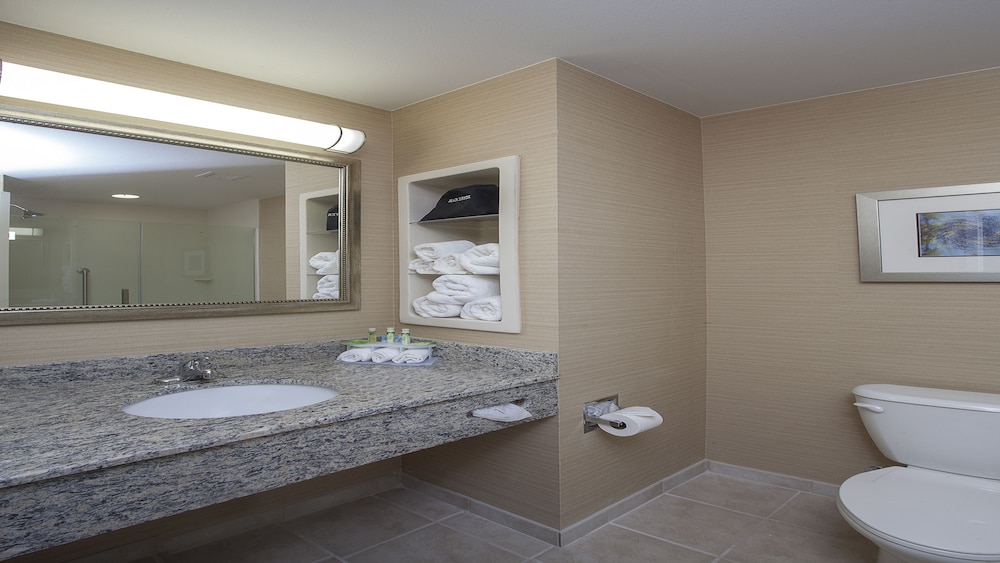 Holiday Inn Express Suites Morgan City Tiger Island 15/50