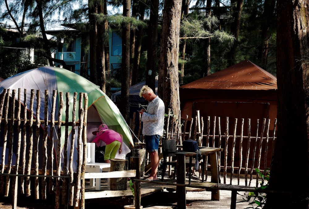 Micky Monkey Beach Hotel 20/50