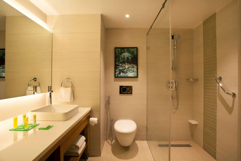Hyatt Place Hyderabad/Banjara Hills 15/67