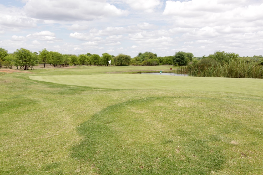 sport_facililities