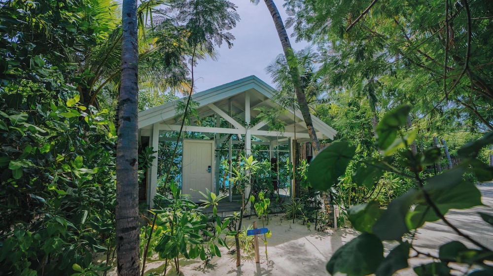 Oaga Art Resort 7/60