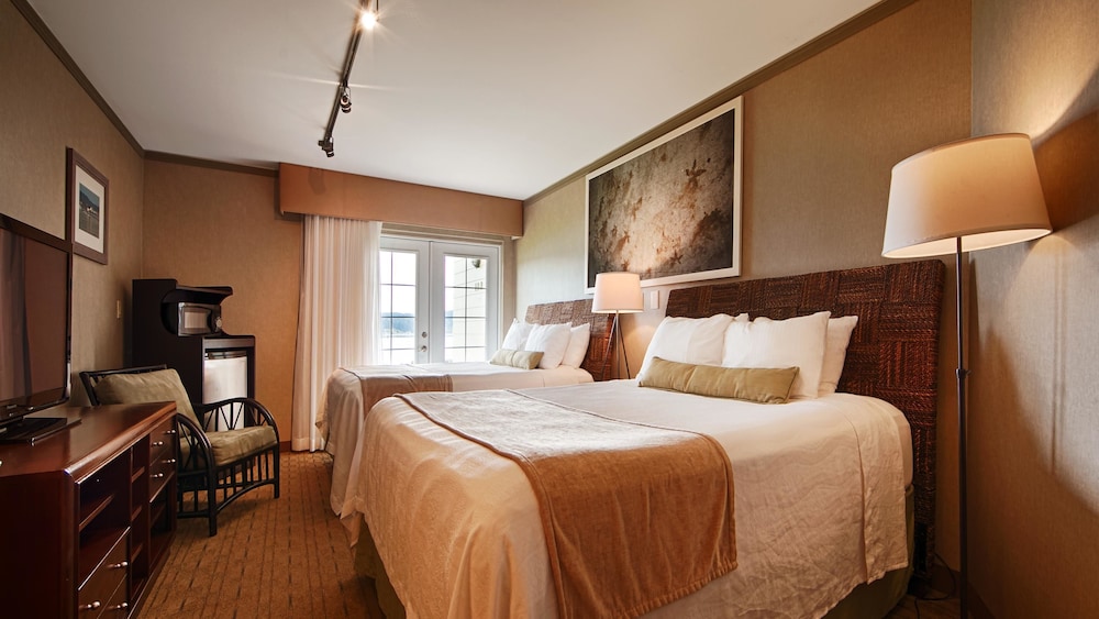 Silverdale Beach Hotel 17/50