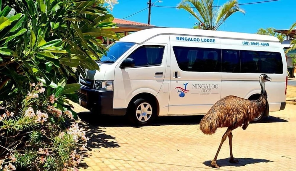 NINGALOO LODGE EXMOUTH. 28/50