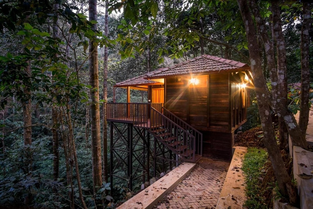 Wild Planet Jungle Resort 5/50