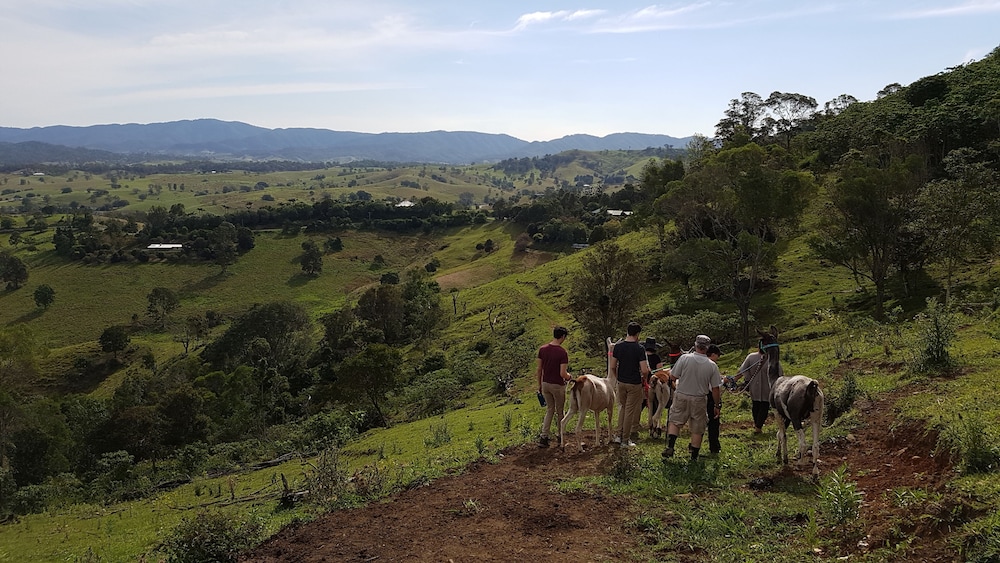 Dayboro Cottages & Llama Walks 25/35