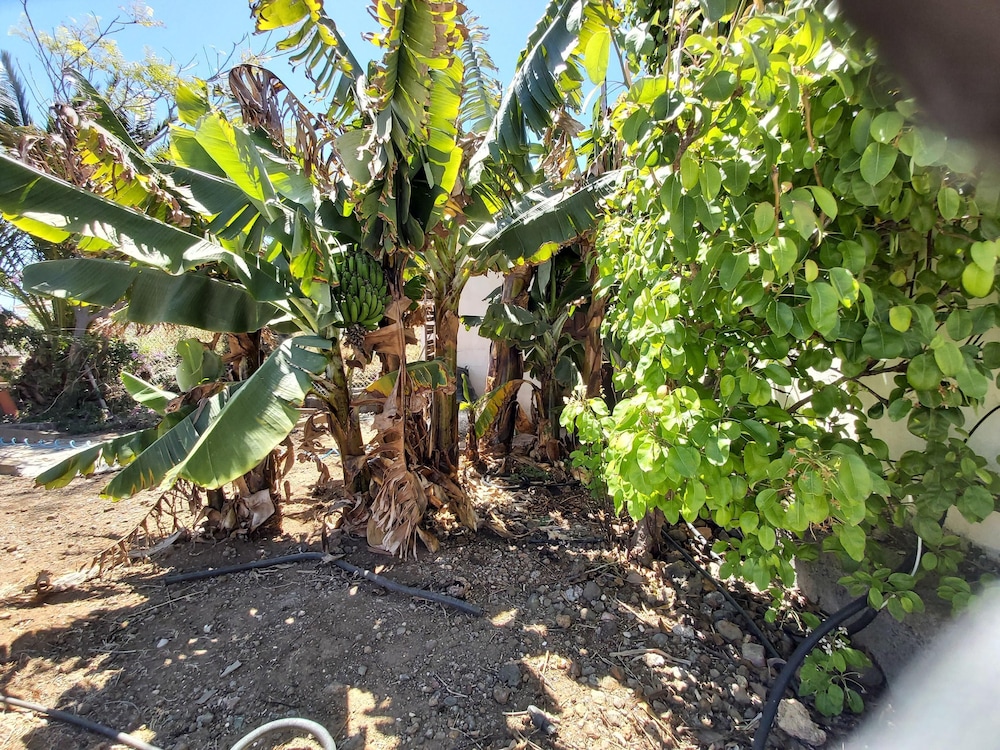Finca Paraiso Casa Rural 37/44