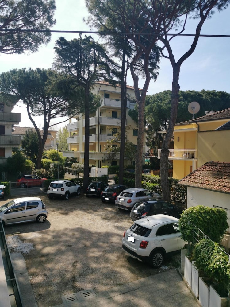 Bellini 43/50