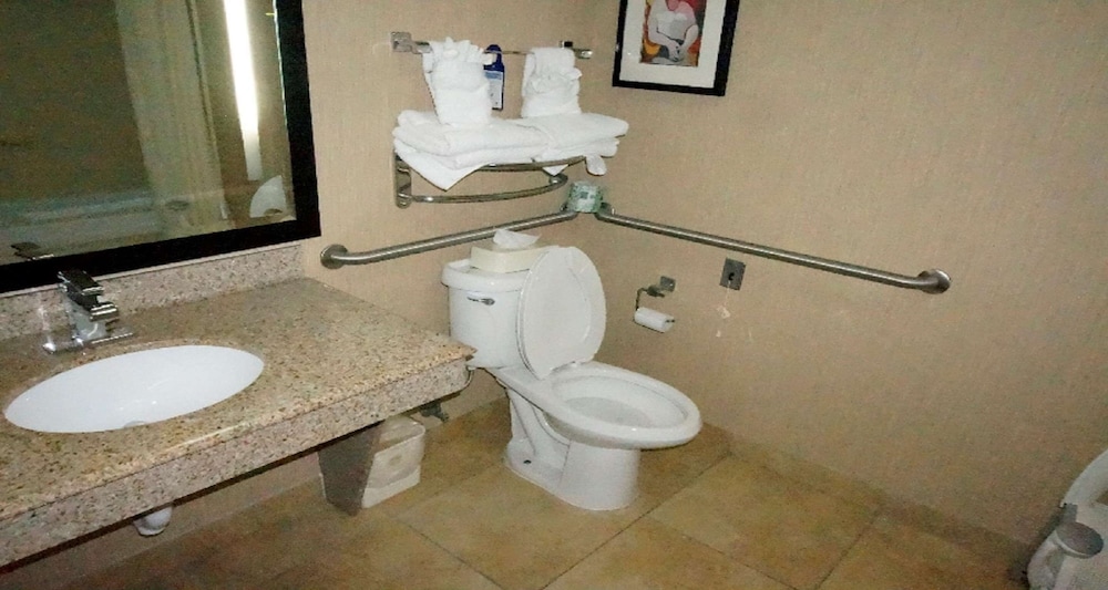 Best Western Plus JFK Inn & Suites 23/49