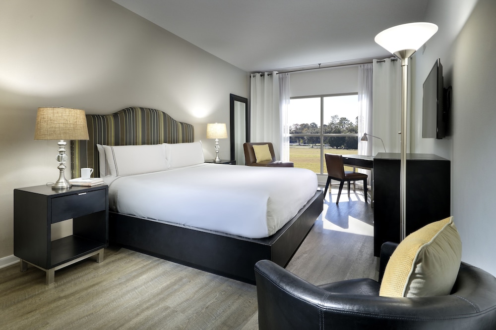 Melia Orlando Celebration 17/64