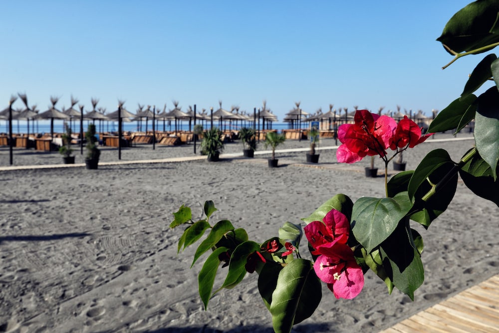 Velipoja Grand Europa Resort, Affiliated by Melia 42/50