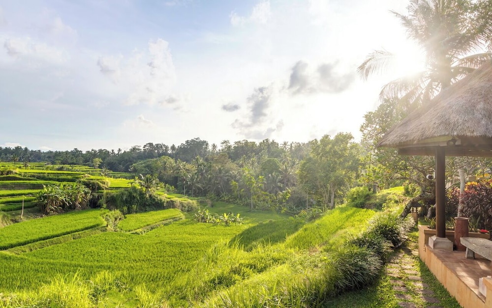 Villa Semana Resort Ubud 43/49