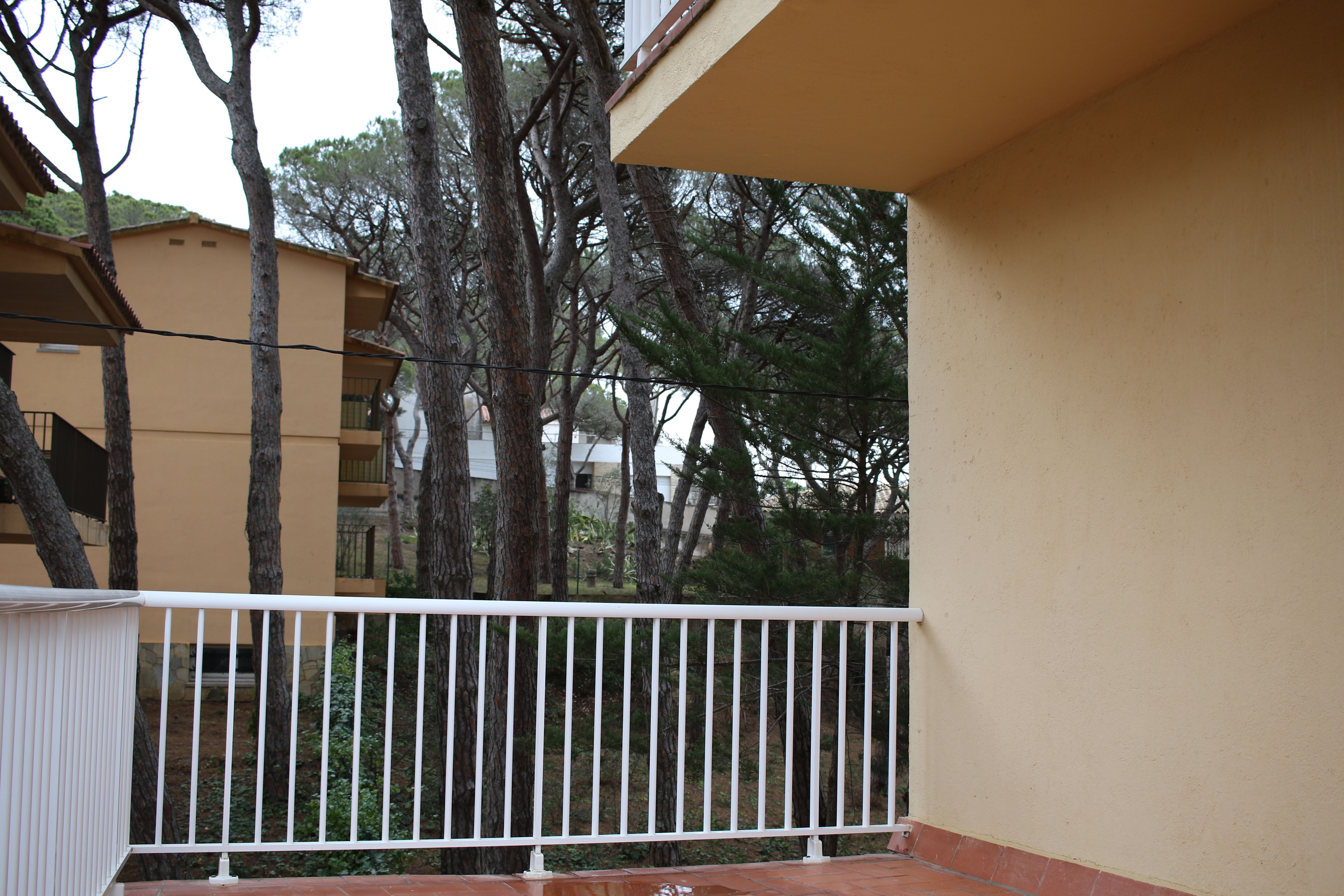 HOSTAL LA FOSCA 5/66