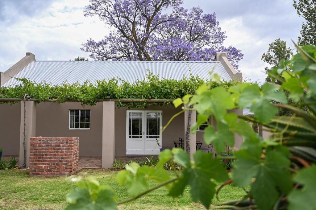 Saronsberg Vineyard Cottages 39/47