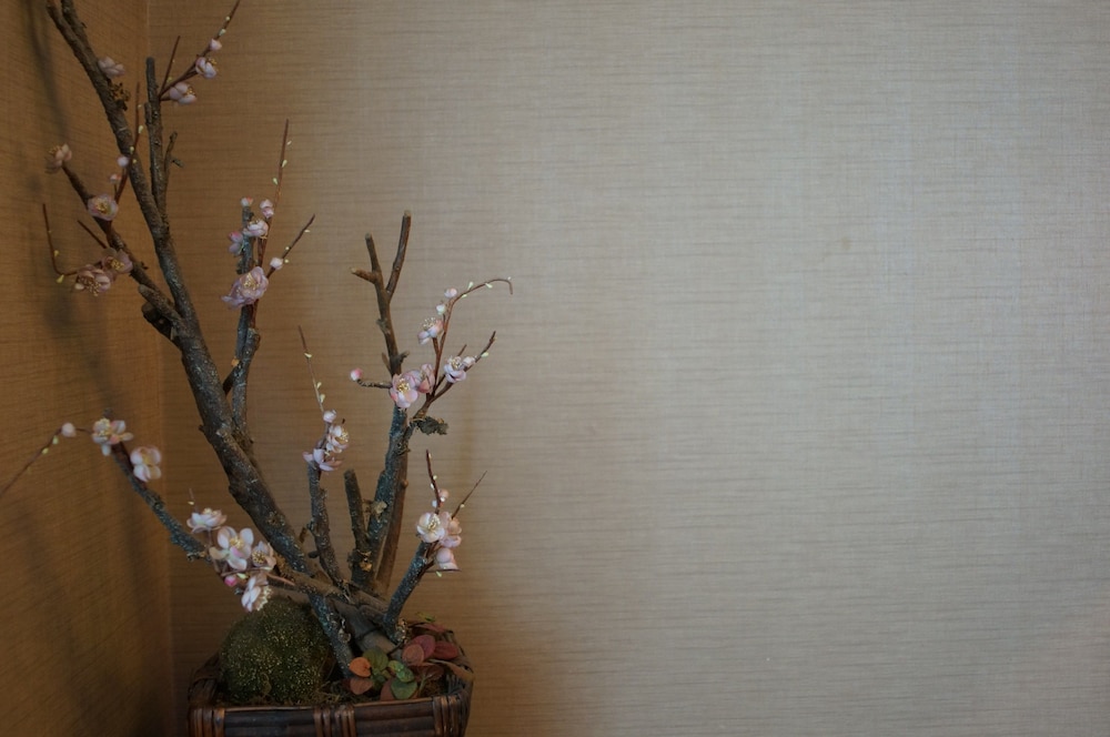 Jade Garden Hotel Beijing 55/60