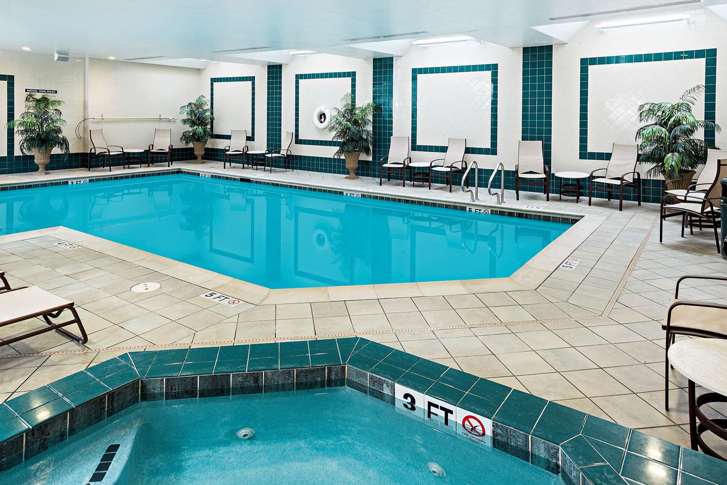 swimming pool spa