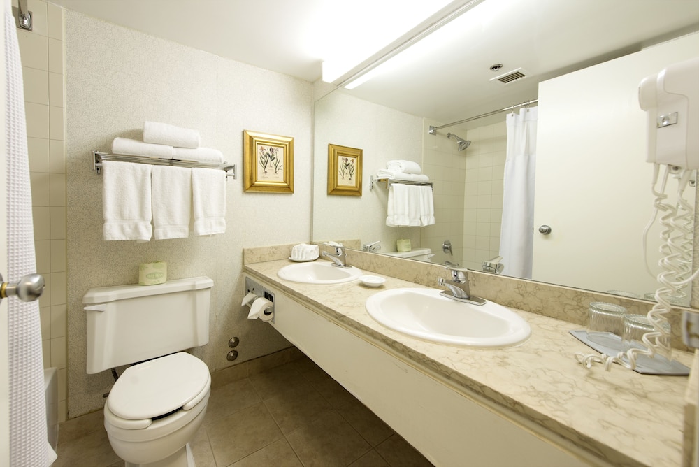 Toronto Don Valley Hotel Suites 19/31