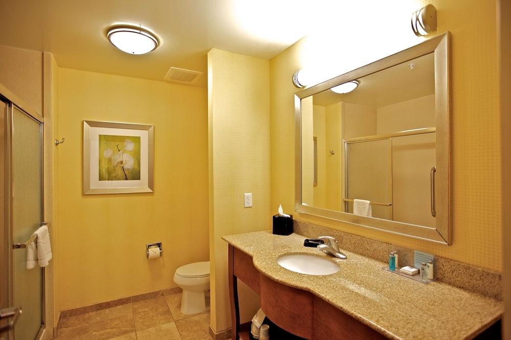 Hampton Inn Ringgoldft Oglethorpe 16/30