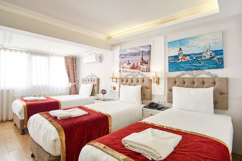 Hotel Beyazit Palace 27/64