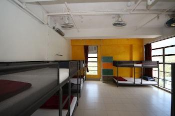 Private, Mixed Dorm, 8 Bunk Beds