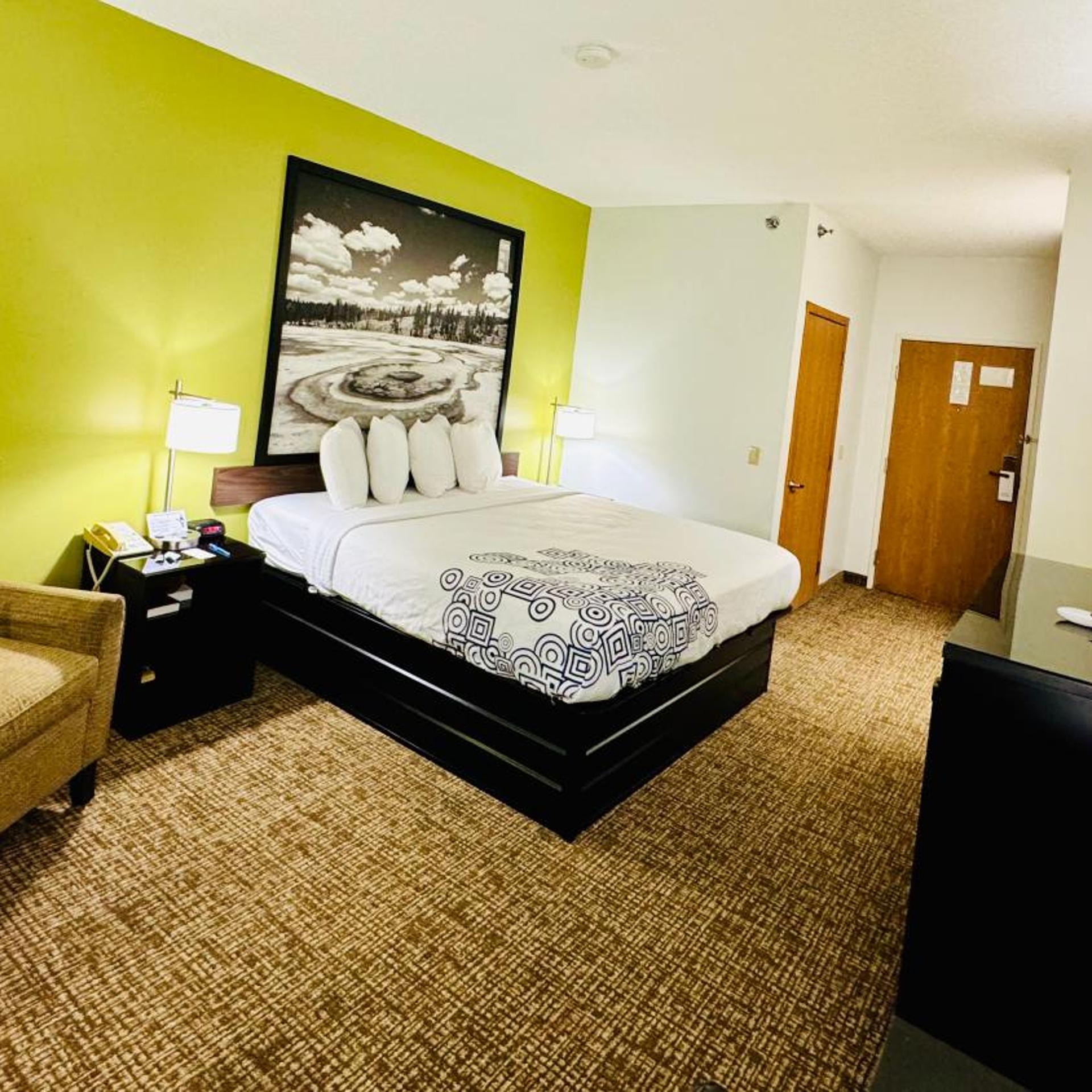 Room, King Bed