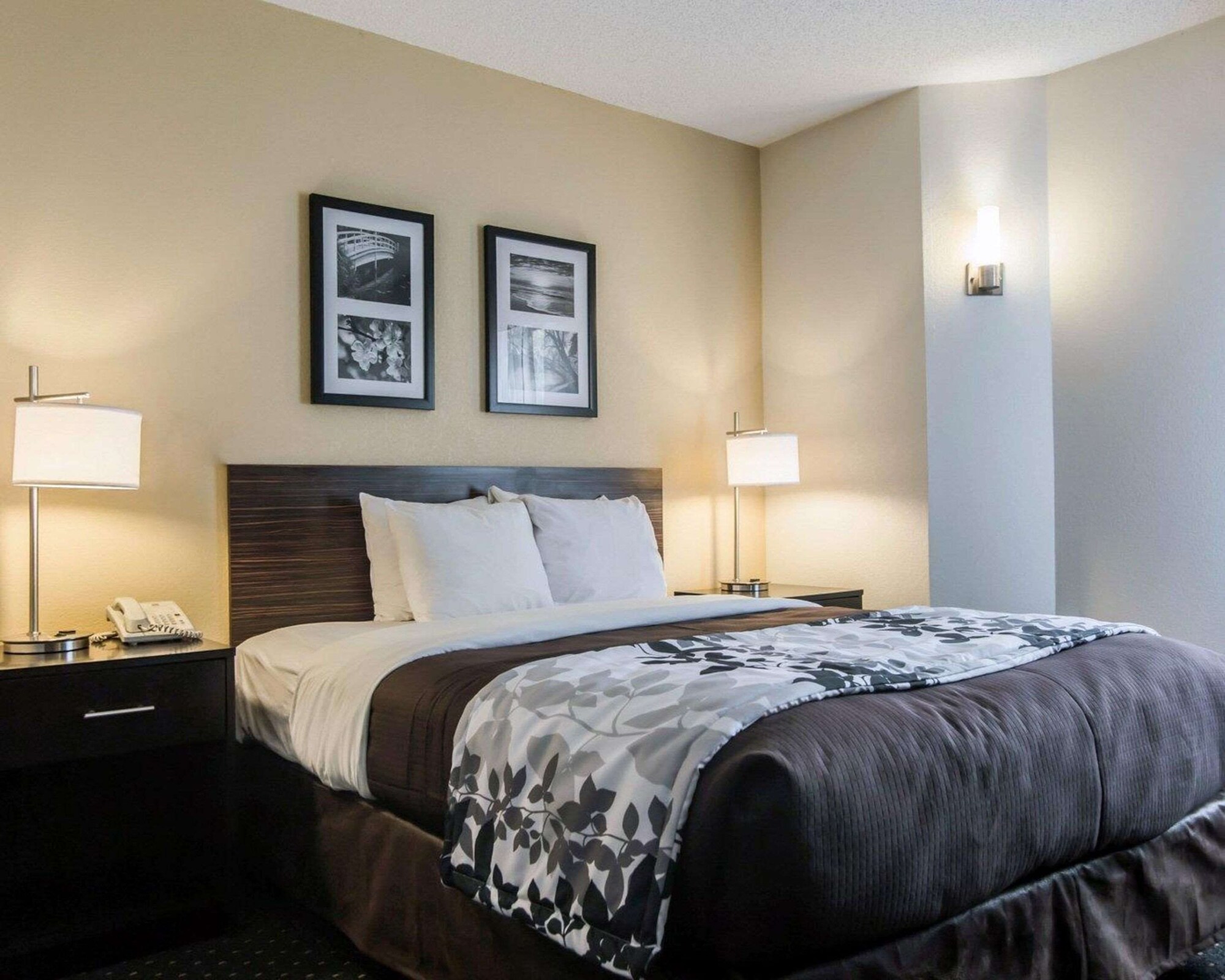 ROOM, QUEEN BED, ACCESSIBLE